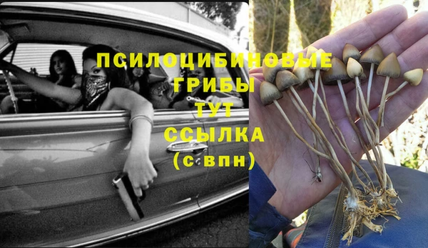стафф Верхний Тагил