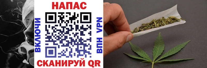 Конопля ГИДРОПОН Зея